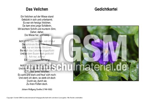 Das-Veilchen-Goethe.pdf
